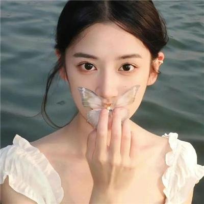 狐缘 在线观看
